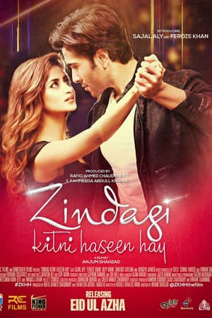 Download Zindagi Kitni Haseen Hay (2016) Urdu Movie 480p | 720p WEB-DL 400MB | 1GB