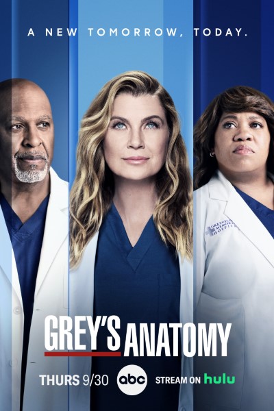 Download Grey’s Anatomy (Season 1-4) English Web Series 720p | WEB-DL Esub